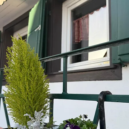 Vakantiehuis S'nekel Hisel - A